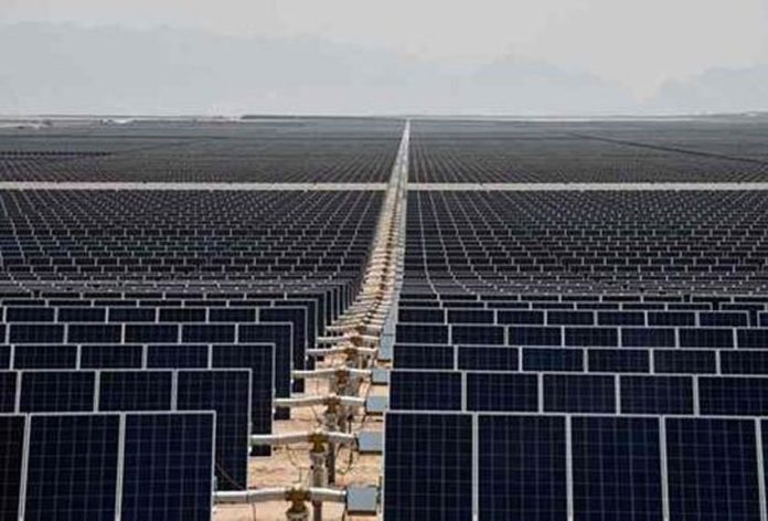 A sea of solar panels in Coahuila.