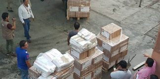 Election materials ready for shipping to polling stations.