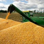 Mexico imported 14 million tonnes of corn last year from the US.