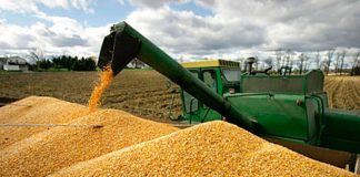 Mexico imported 14 million tonnes of corn last year from the US.