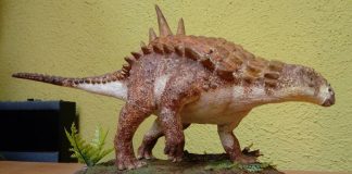 A replica of the new dinosaur species.