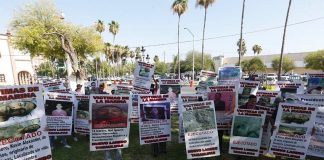 Posters tell the stories of the missing in Nuevo Laredo, describing them as 'victims of the navy.'