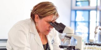 Researcher Gómez: healthier tortillas.