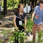 Visitors choose their trees to adopt at Bosque Urbano.