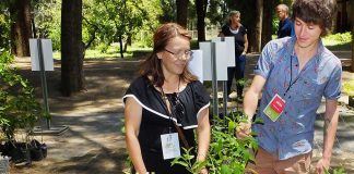 Visitors choose their trees to adopt at Bosque Urbano.