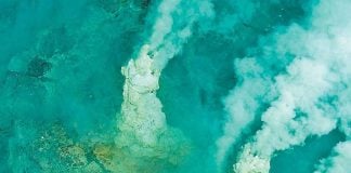 Hydrothermal vents have been discovered off the coast of Baja California Sur.