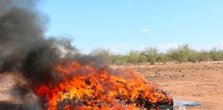 Seized drugs burned in Sonora.