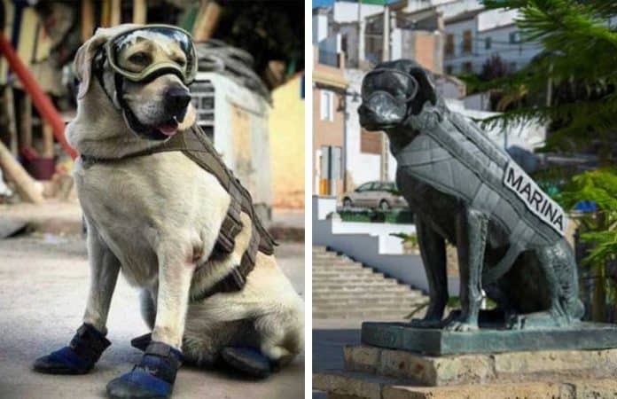 Rescue dog Frida, left, and her statue in Puebla.