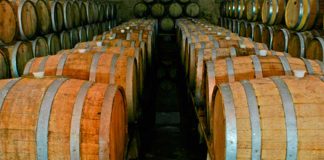 Roll out the barrels, it's grape harvest time.