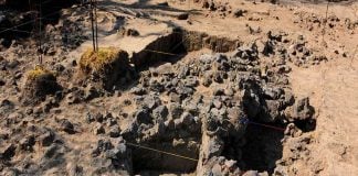 Site of the new discovery in Coyoacán.