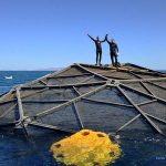 A submersible aquapod in which the totoaba are raised.