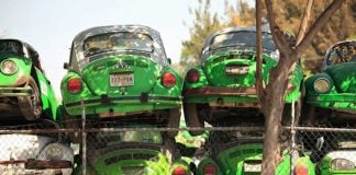 Vochos: a graveyard of old Mexico City taxis.