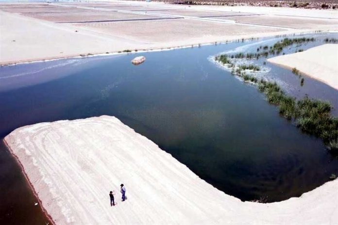 Artificial wetland in Sonora helps make up for what has been lost.