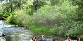 A family outing in the Salty River.