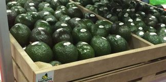 Avocado sales have soared in China.