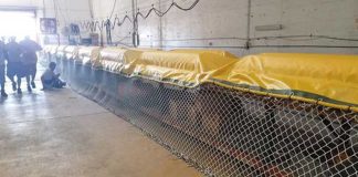 Sargassum barriers that are being installed in Quintana Roo.