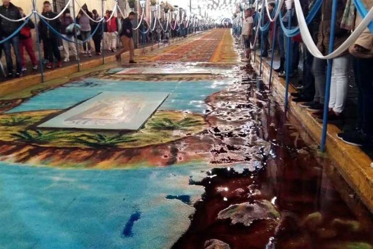 Weather takes its toll on annual carpets of sawdust and flowers Weather takes its toll on annual carpets of sawdust and flowers