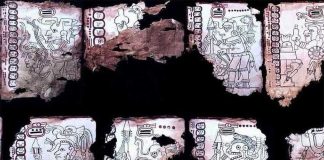 mayan codex