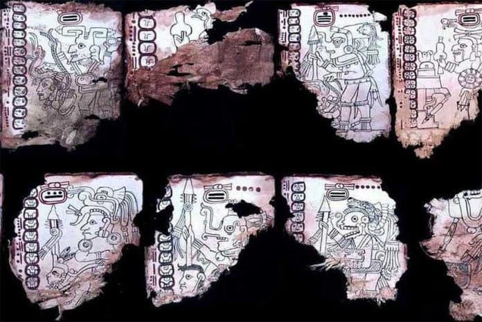mayan codex