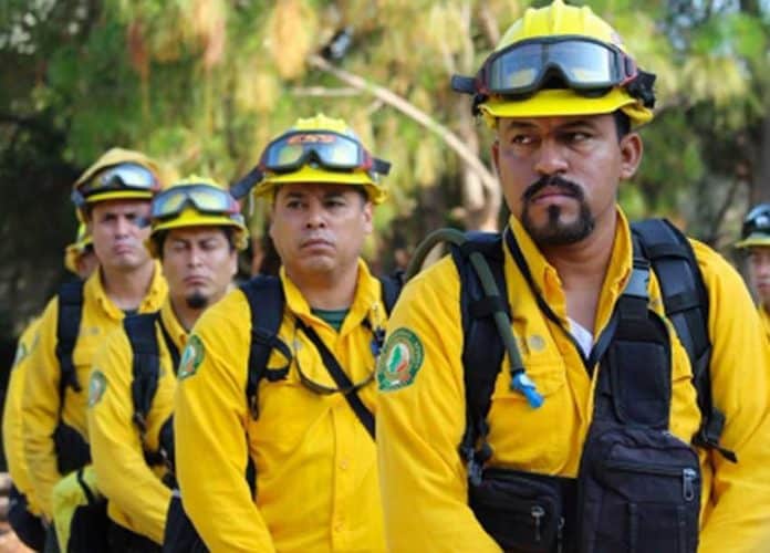 Some of the Mexican firefighters who have been sent to Canada.