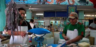 Thieves have been targeting shipments of fish from Yucatán.