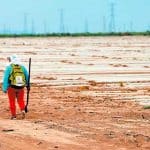 A farmworker on a hot day in Sonora.