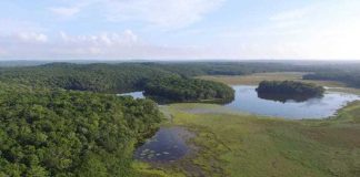 Chakanbakán lagoon in Quintana Roo.