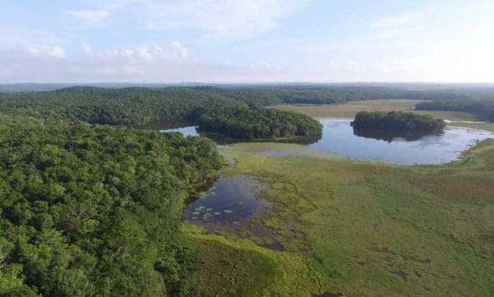 Chakanbakán lagoon in Quintana Roo.