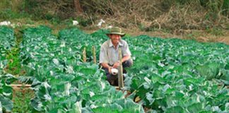 Helping small producers grow is Nuup's goal.