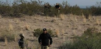 Searchers on the weekend in the Juárez valley.
