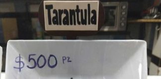 Tarantula tacos, 500 pesos.