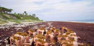 A photo shot by Spencer Tunick Saturday in Tulum.