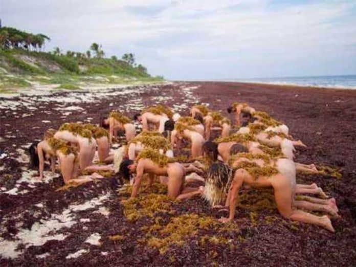 A photo shot by Spencer Tunick Saturday in Tulum.