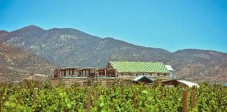 Baja winery La Carrodilla makes Mexico's first certified organic wine.