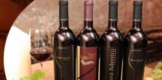 Tierra Adentro wines from Zacatecas.