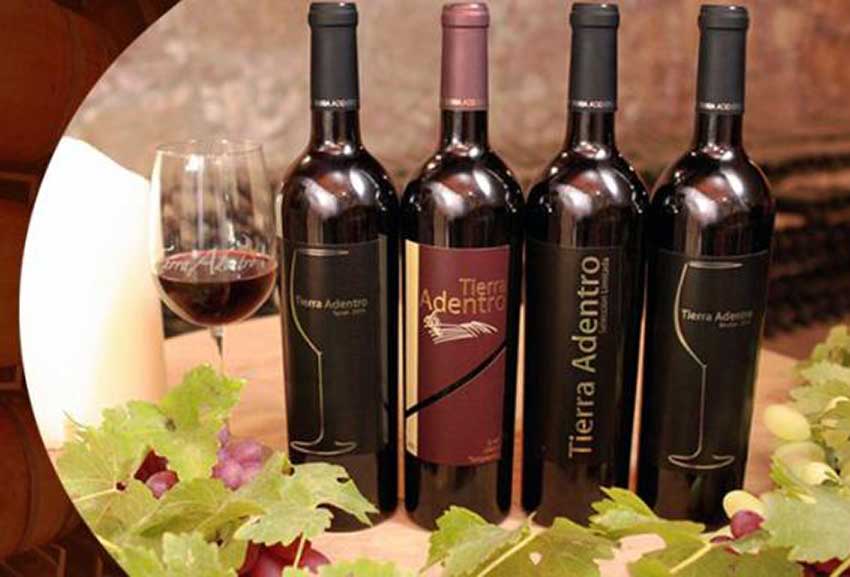 Five Mexican wines to try during the grape harvest season