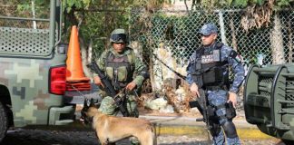 A soldier, a federal police officer and a police dog on patrol in Acapulco.