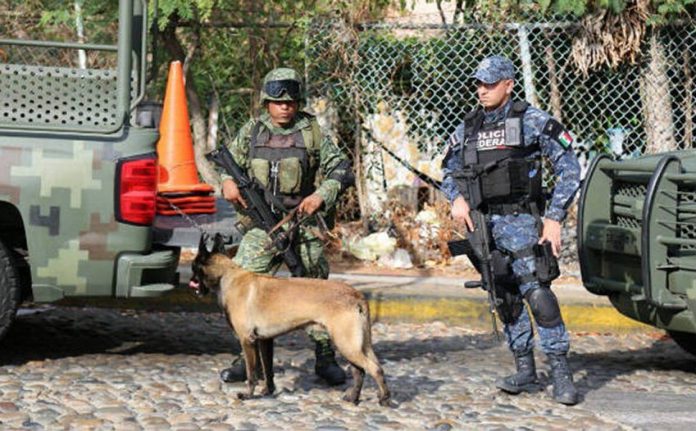 A soldier, a federal police officer and a police dog on patrol in Acapulco.
