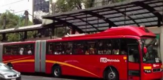 Articulated buses will provide a new service in Quintana Roo.