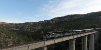 The Chepe Express: service suspended.