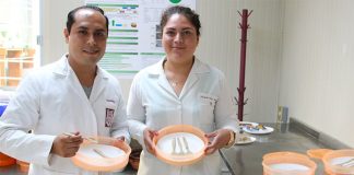 ipn researchers and cutlery