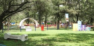 New park for dogs in León, Guanajuato.