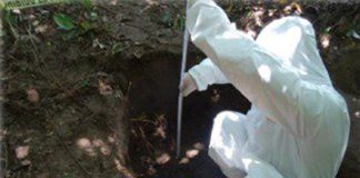 Searching for human remains in Veracruz.