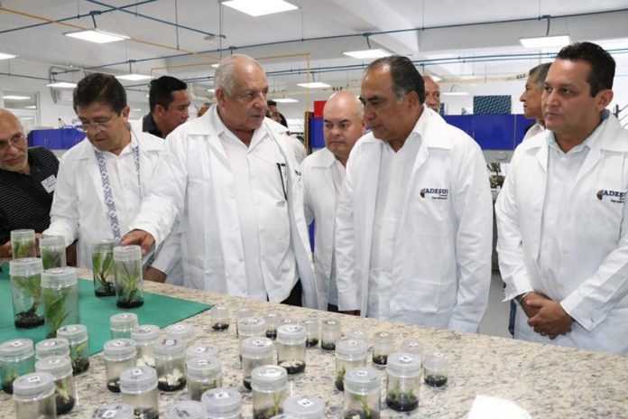 Governor Astudillo, second from right, opened the new research center in Acapulco yesterday.