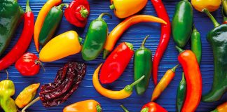 A source of pleasure.