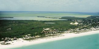 Holbox: new management program announced.