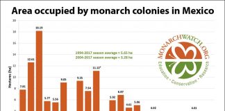 Butterfly overwintering data since 1994-1995.