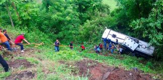The bus that went off the road yesterday in Nayarit.