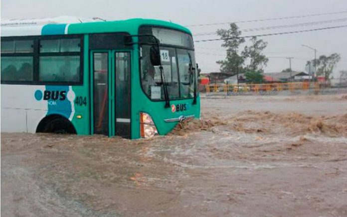 A bus battles floodwaters in Sonora.