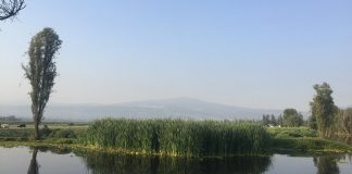 Dawn in Xochimilco, Mexico City.